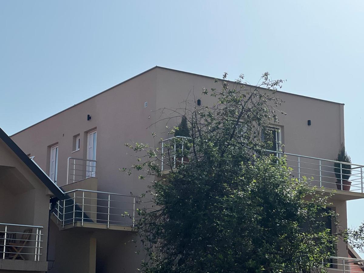 Nikšić Apartman Scepanovic מראה חיצוני תמונה
